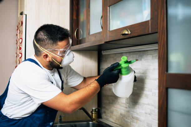 Best Local Pest Control Services  in Shorewood, IL