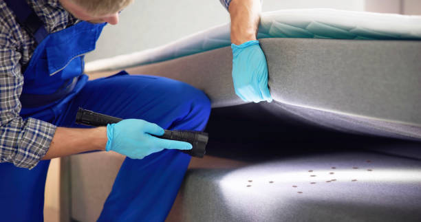 Best Best Pest Control Companies  in Shorewood, IL