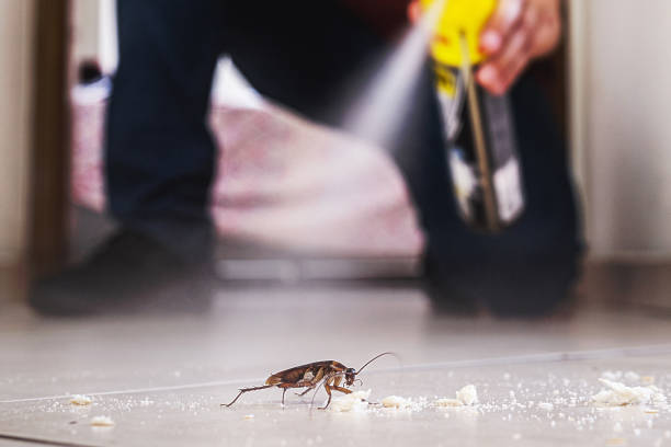 Best Best Pest Control Companies  in Shorewood, IL