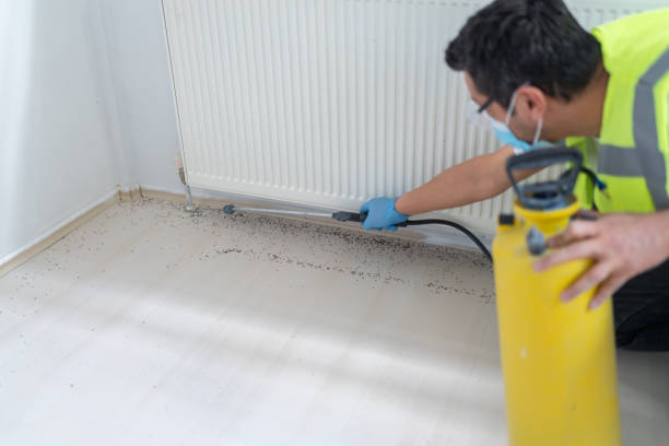 Best Rat Extermination Near Me  in Shorewood, IL
